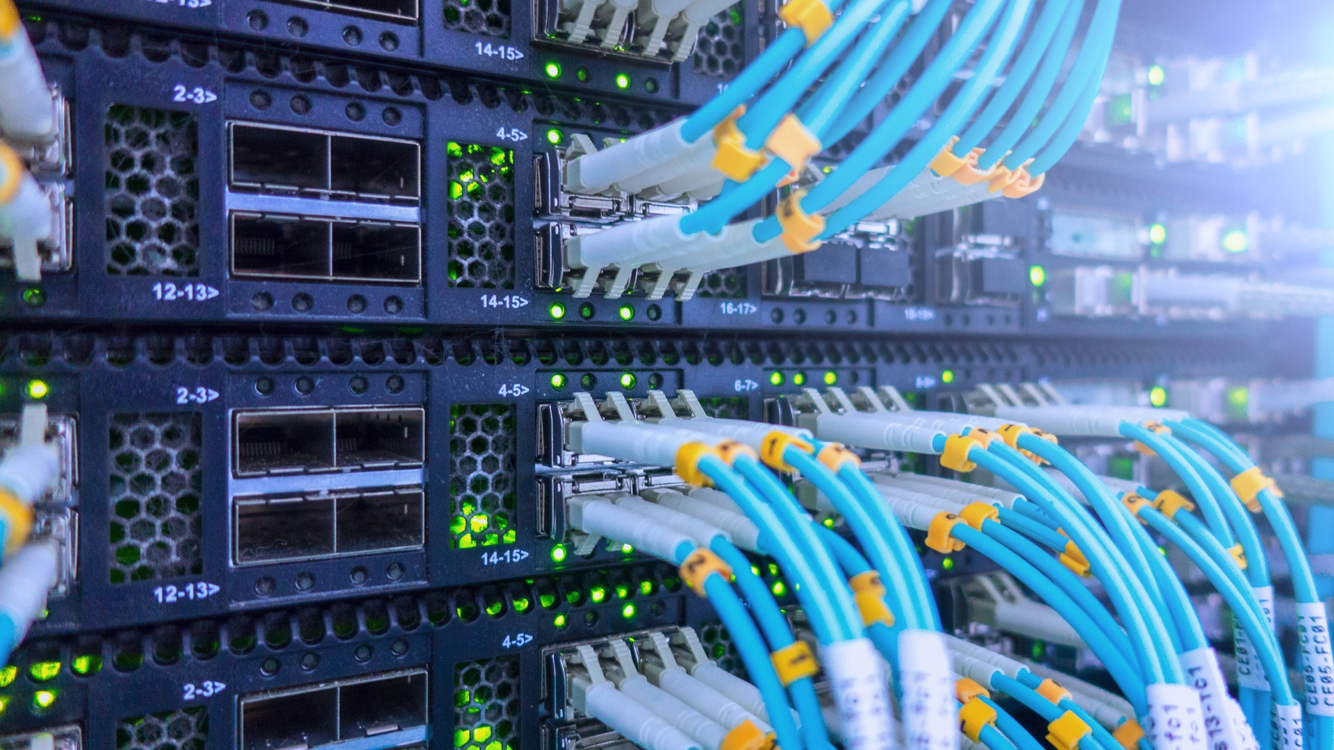 Rack-mounted network equipment with rows of blue cables and illuminated status lights.