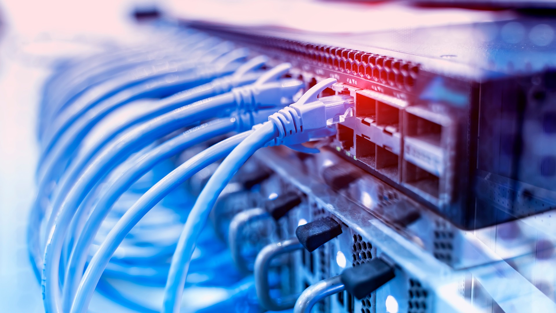 Blue Ethernet cables connected to ports on rack-mounted network equipment.