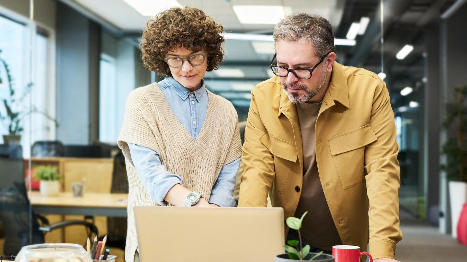 Home image by O&O Systems A woman with curly hair and glasses and a man with a gray beard and glasses stand together at a desk in an open-plan office and look down at an open laptop, with a pencil holder, a small plant and a red mug at the edge of the desk